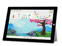 掇刀Surface 无法开启、Windows 无法启动或电池无法充电